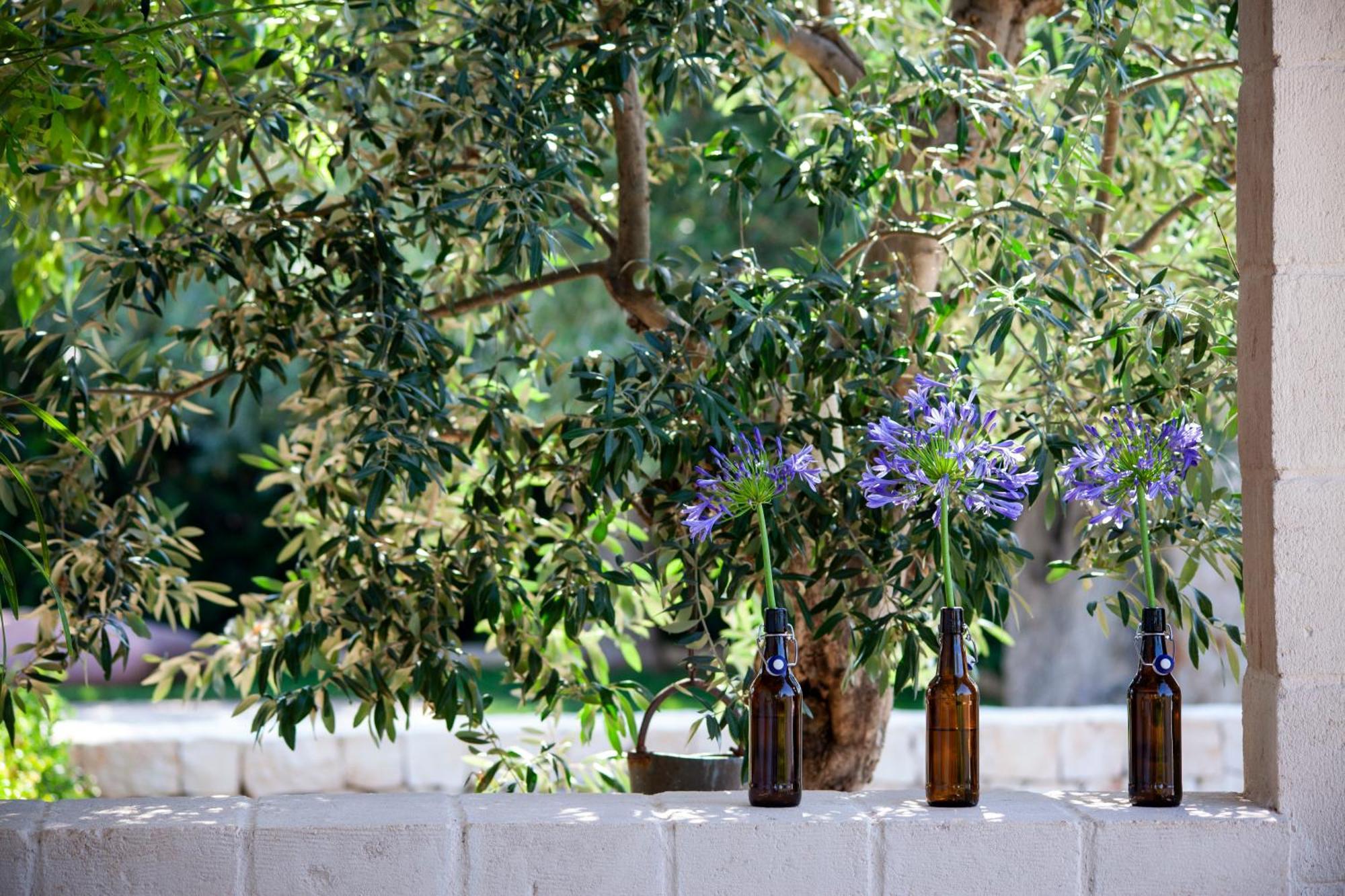 Casa Mia In Puglia Casa de hóspedes Conversano Exterior foto